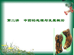 中药资源学.ppt