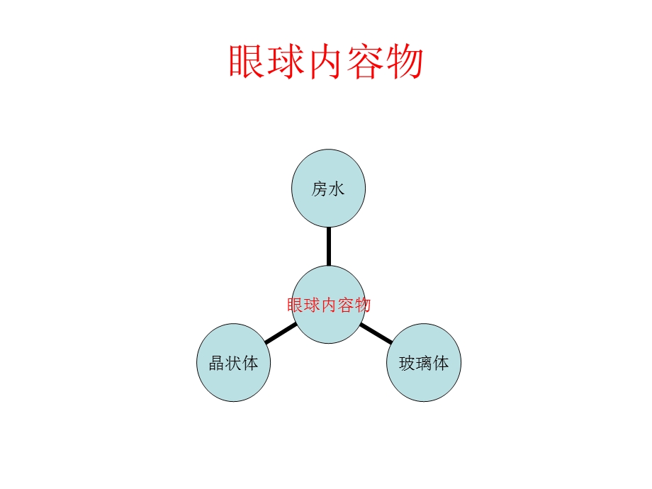 眼球内容物.ppt_第1页