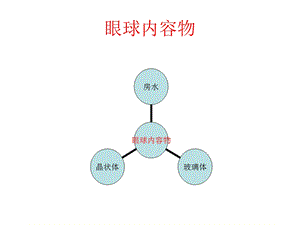 眼球内容物.ppt