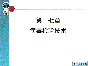 《病毒检验技术》PPT课件.ppt