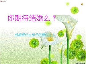 《结婚不结婚》PPT课件.ppt