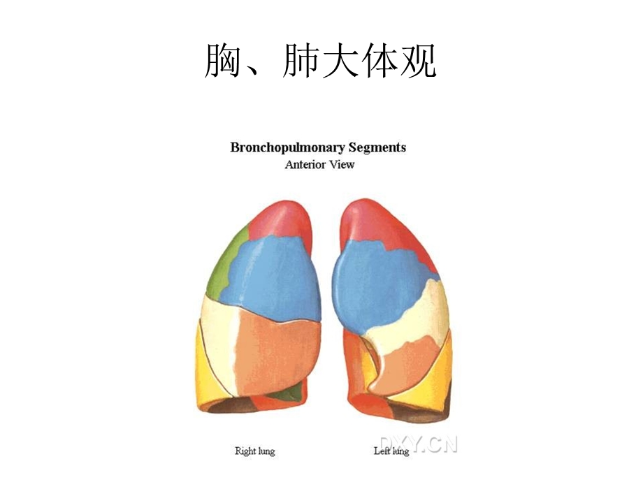 正常及典型病变影像.ppt_第3页