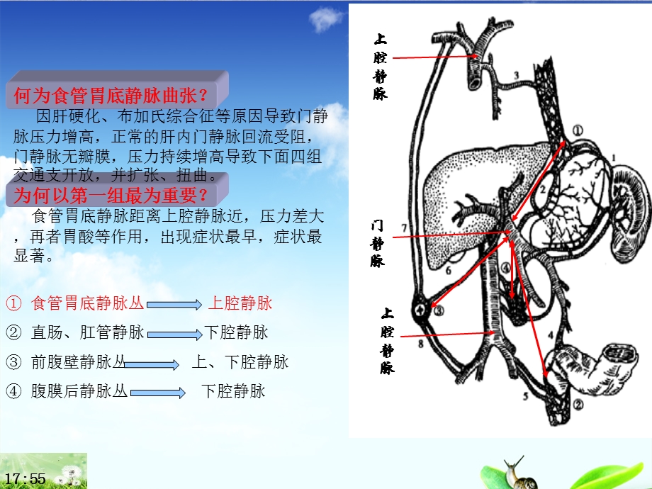 EVL围手术期护理.ppt_第3页