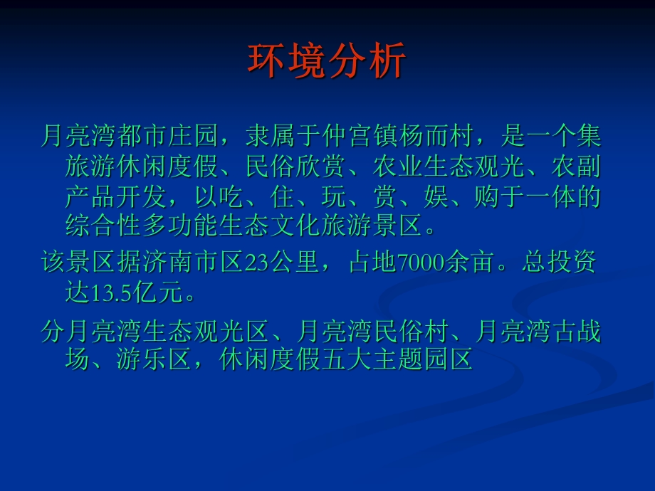 《整体销售方案》PPT课件.ppt_第3页