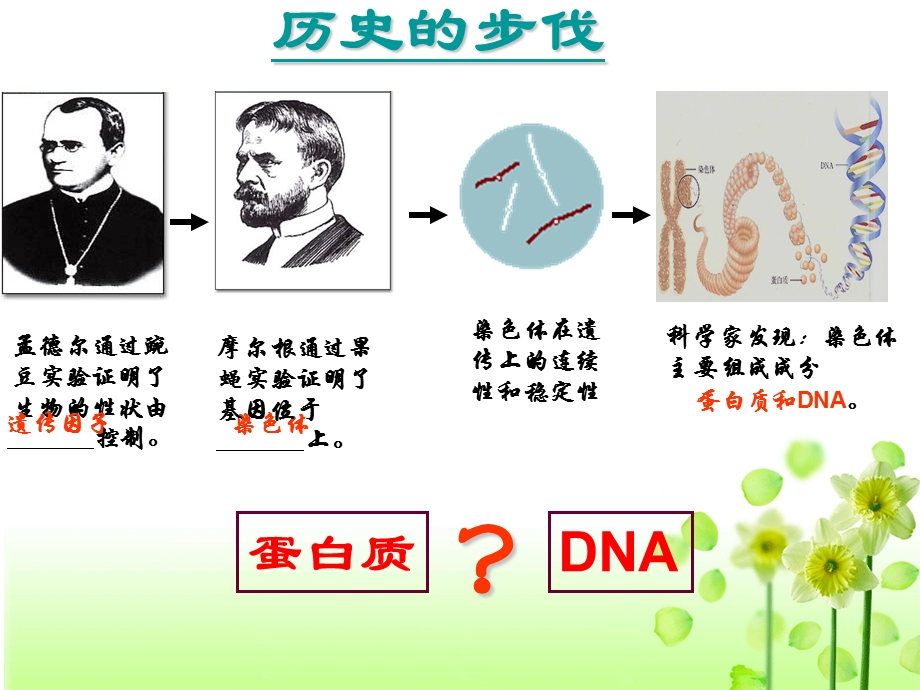 DNA是主要的遗传物质PPT课件.ppt_第2页