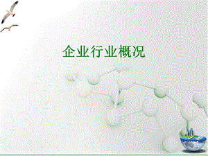 《IVD行业概况》PPT课件.ppt