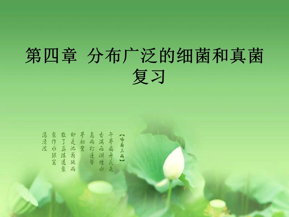 《细菌和真菌复习》PPT课件.ppt_第1页