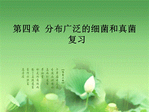 《细菌和真菌复习》PPT课件.ppt