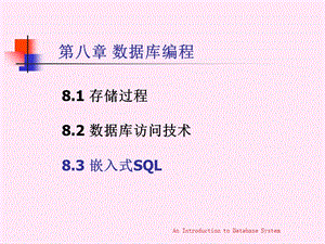 《数据库编程 》PPT课件.ppt