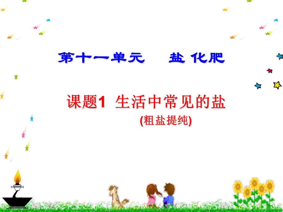 《生活中常见的盐》PPT课件.ppt_第1页