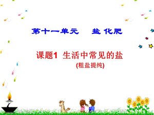 《生活中常见的盐》PPT课件.ppt