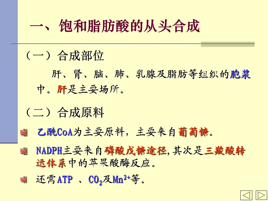 《脂肪代谢合成》PPT课件.ppt_第2页