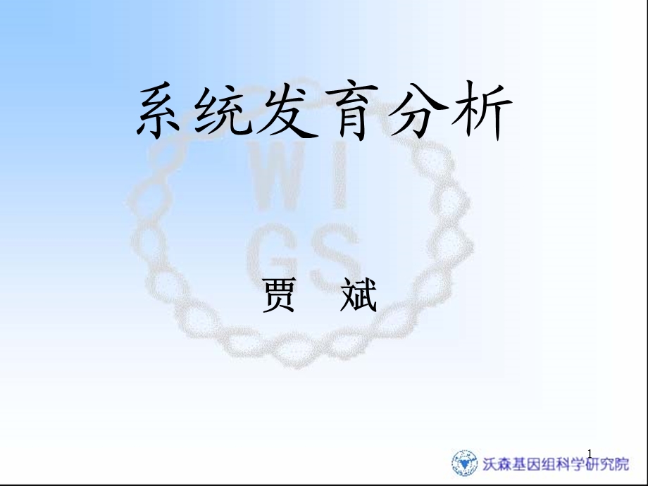 《系统发育分析》PPT课件.ppt_第1页