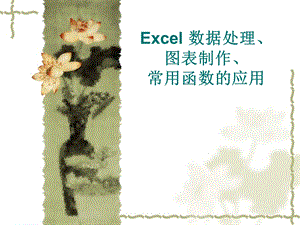 Excel数据处理、图表制作、常用函数.ppt