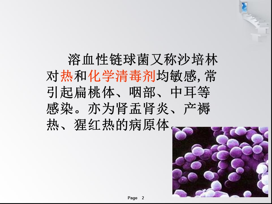 《溶血性链球菌》PPT课件.ppt_第2页