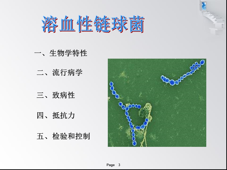 《溶血性链球菌》PPT课件.ppt_第3页