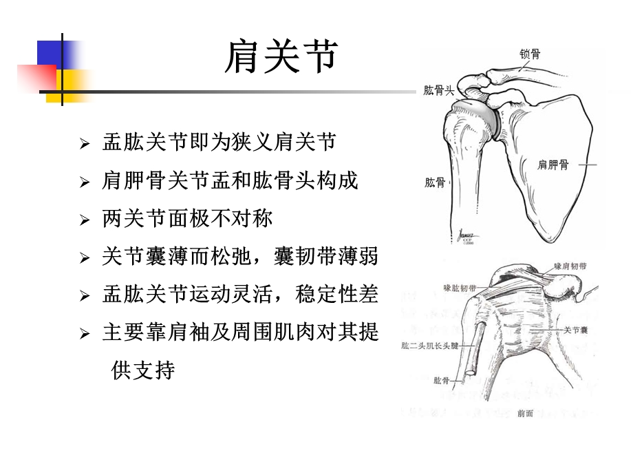 《肩关节盂唇损伤》PPT课件.ppt_第2页