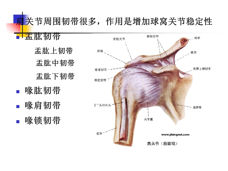 《肩关节盂唇损伤》PPT课件.ppt_第3页