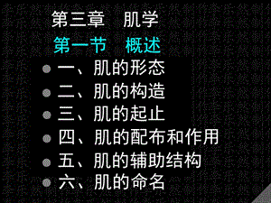 《肌学概述》PPT课件.ppt