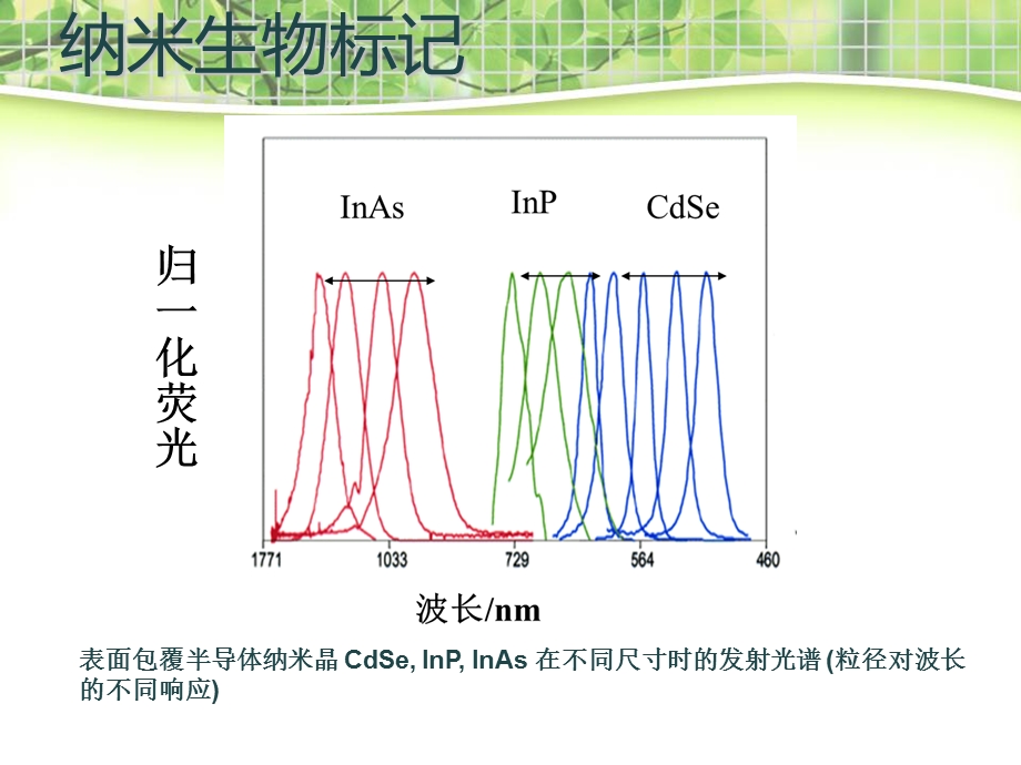 《生物纳米技术》PPT课件.ppt_第3页