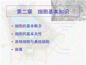 《细胞基本知识》PPT课件.ppt