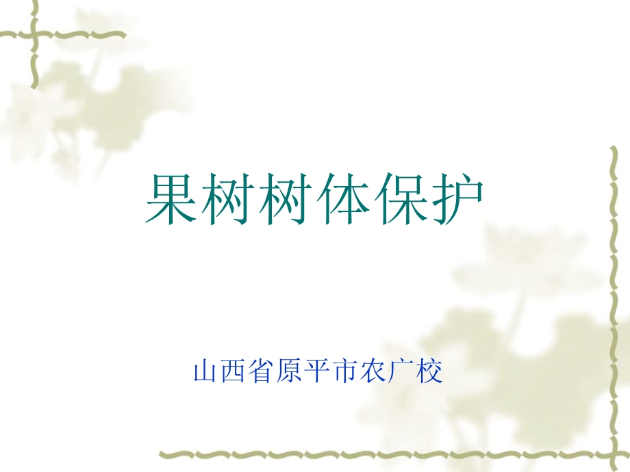 《果树树体保护》PPT课件.ppt_第2页