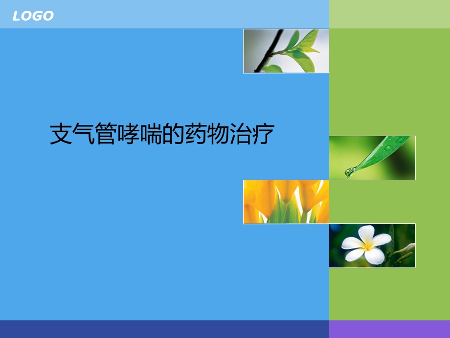 《控制哮喘药物》PPT课件.ppt_第1页