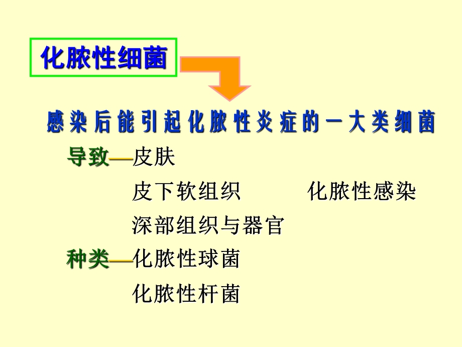 《化脓性细菌》PPT课件.ppt_第2页