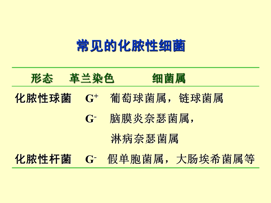 《化脓性细菌》PPT课件.ppt_第3页