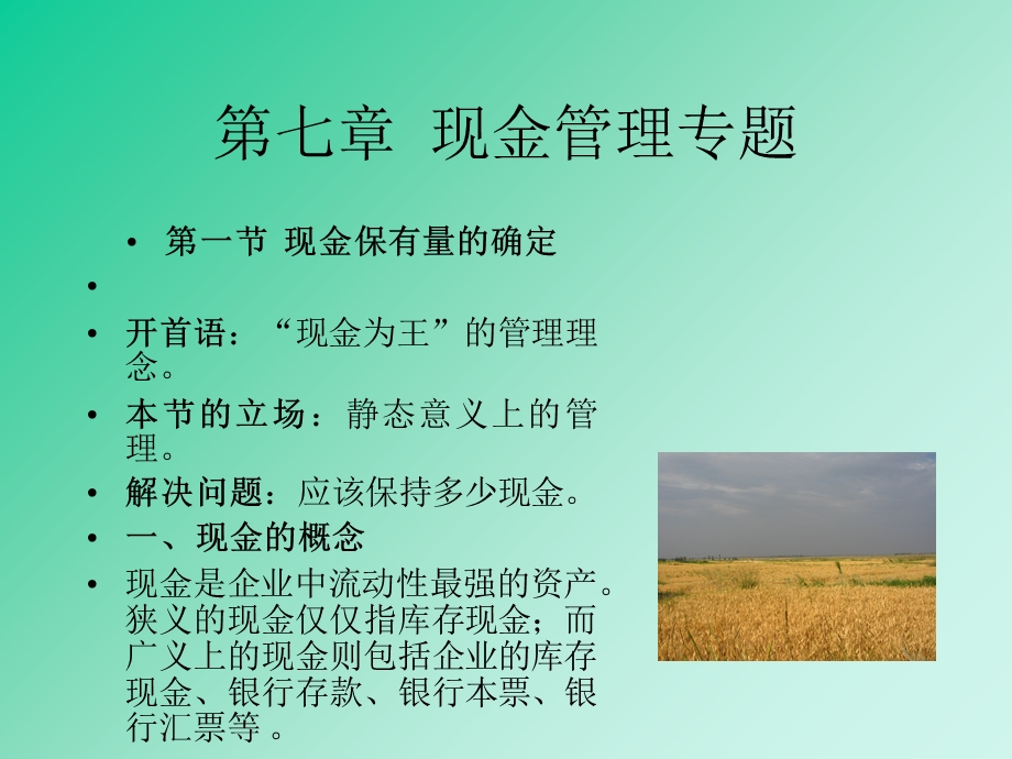 《现金管理专题》PPT课件.ppt_第1页