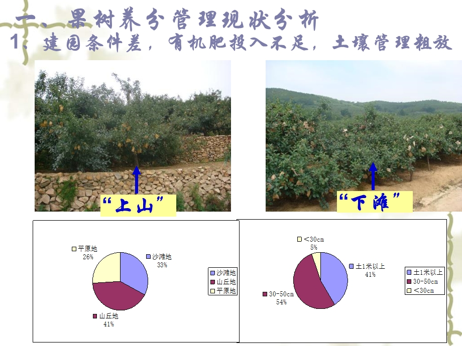 《果蔬施肥技术》PPT课件.ppt_第3页