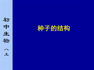 《种子的结构》PPT课件.ppt