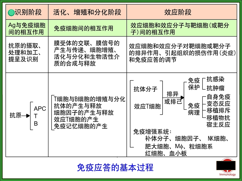 《特异性免疫应答》PPT课件.ppt_第1页