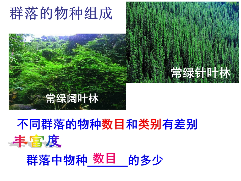 《群落结构》PPT课件.ppt_第3页