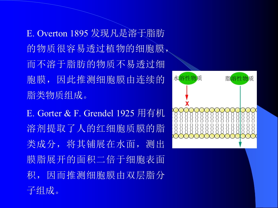 《细胞质膜》PPT课件.ppt_第3页