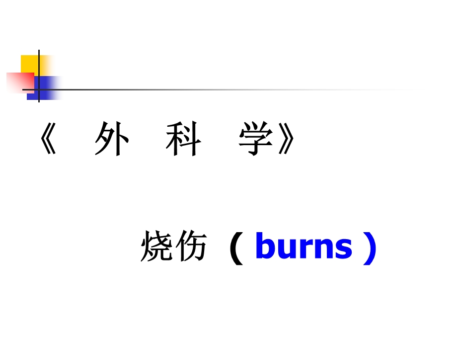 《烧伤外科学》PPT课件.ppt_第2页