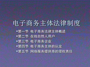 《电子商务主体》PPT课件.ppt