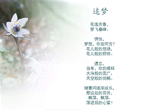 《稻草人诗集》PPT课件.ppt