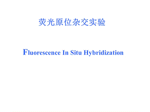 荧光原位杂交实验FluorescenceInSituHybridization.ppt