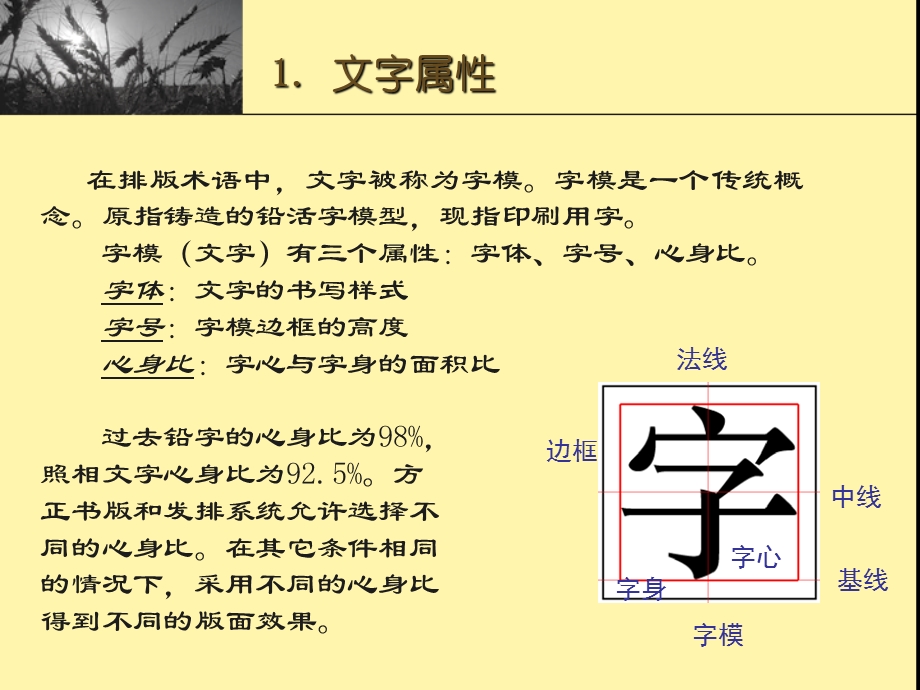 《文字属性》PPT课件.ppt_第2页