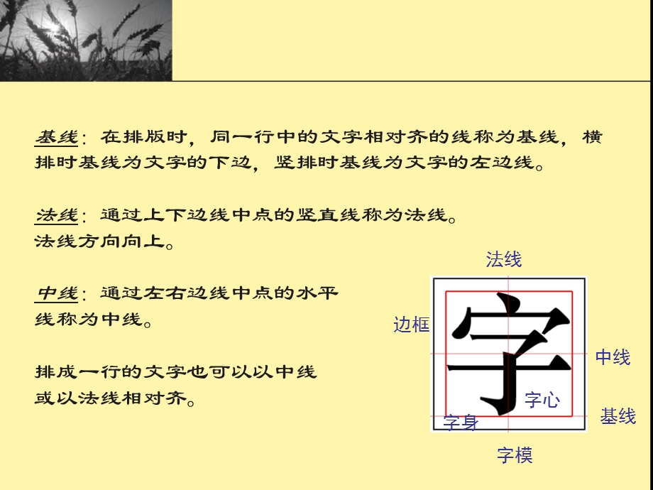 《文字属性》PPT课件.ppt_第3页