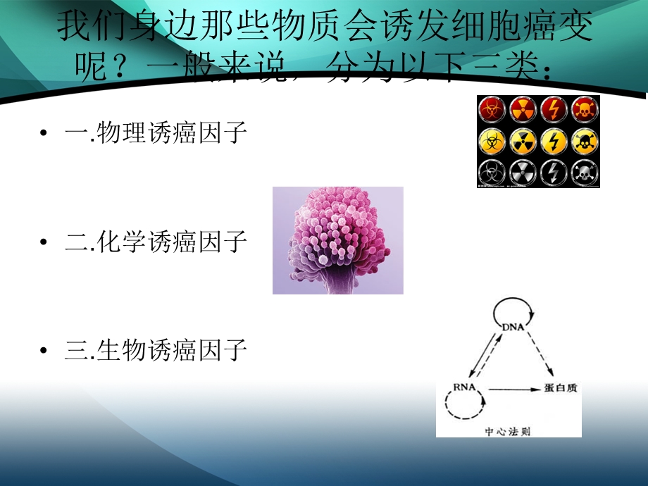 《细胞癌变机理》PPT课件.ppt_第2页