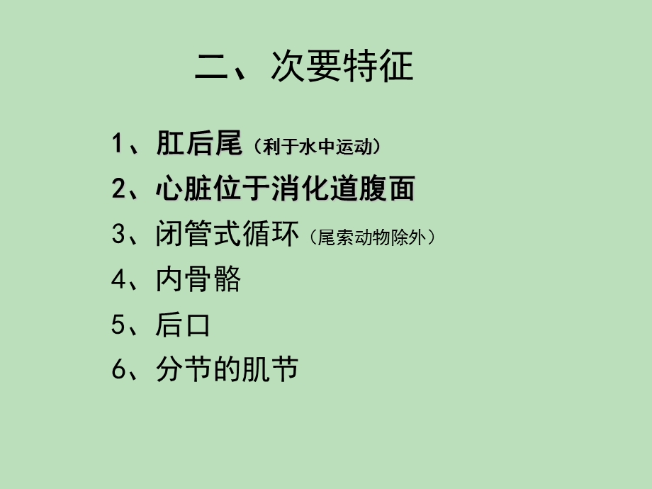 总结 脊椎动物比较解剖学.ppt_第3页