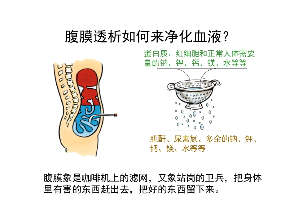 《腹透病人培训》PPT课件.ppt_第3页