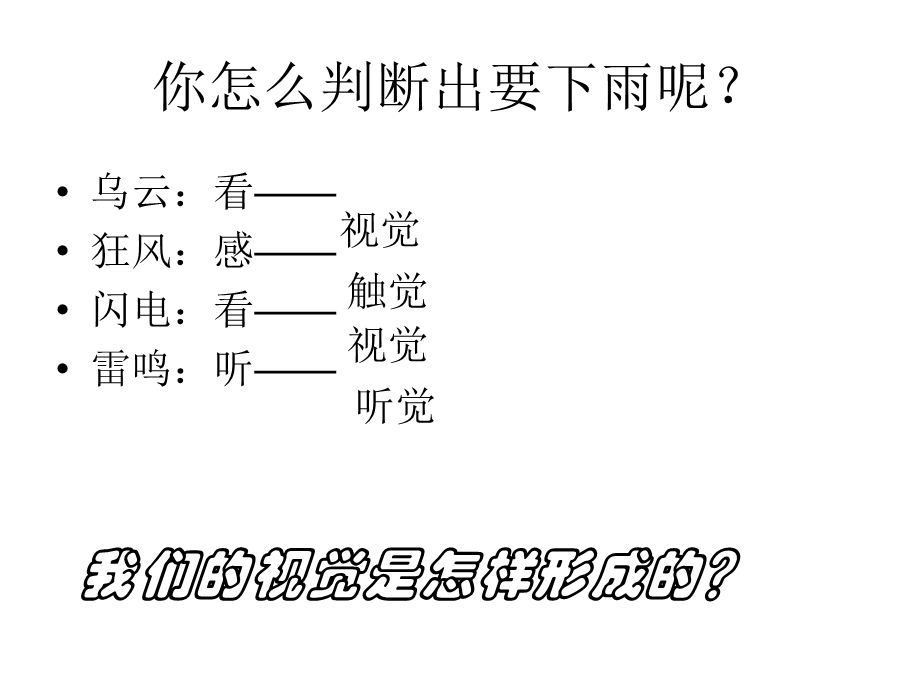 《眼和视觉的形成》PPT课件.ppt_第3页