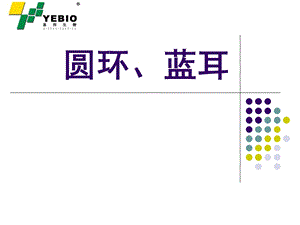 《圆环蓝耳概述》PPT课件.ppt