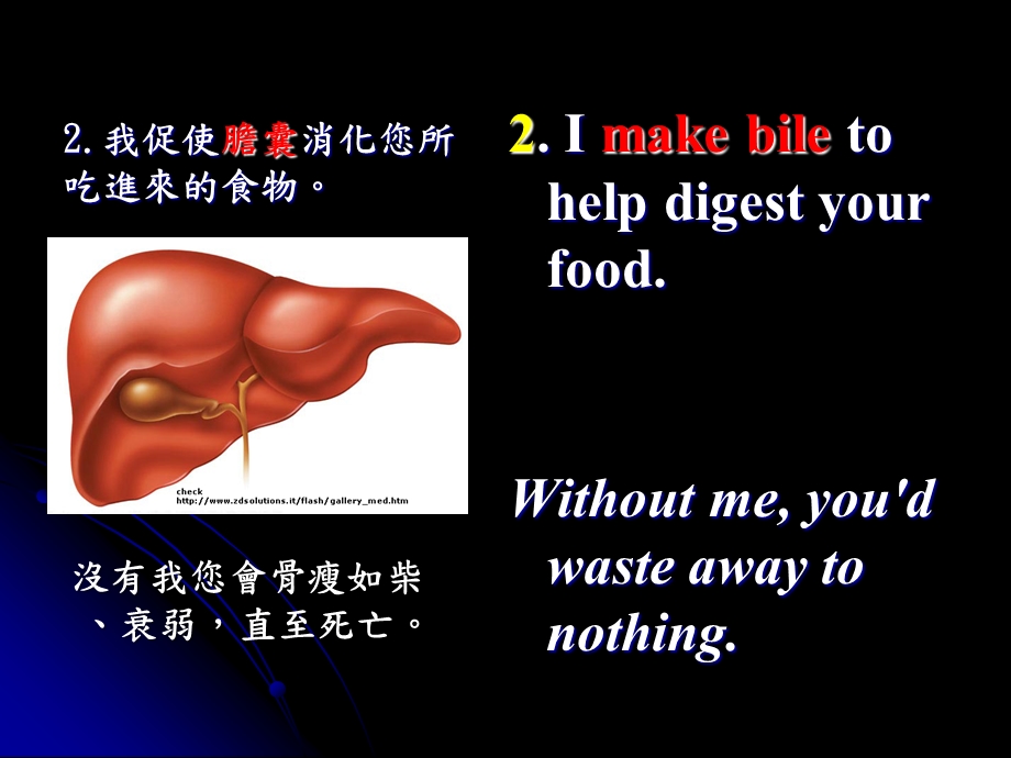 《肝脏的自述》PPT课件.ppt_第3页