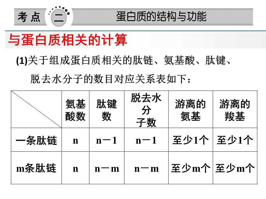 《有关蛋白质的计算》PPT课件.ppt_第2页