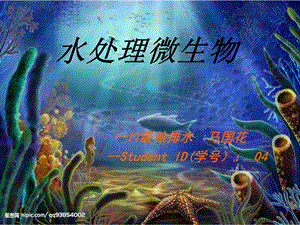 《水处理微生物》PPT课件.ppt