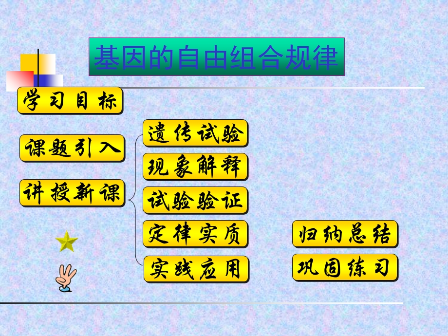 《自由组合定律》PPT课件.ppt_第1页